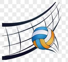 有所收获！太阳标准合同球员每人得到53093美元奖金